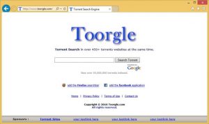 Toorgle-1-768x455